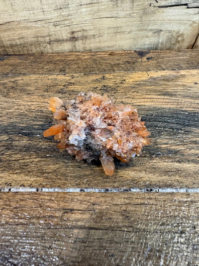 Creedite