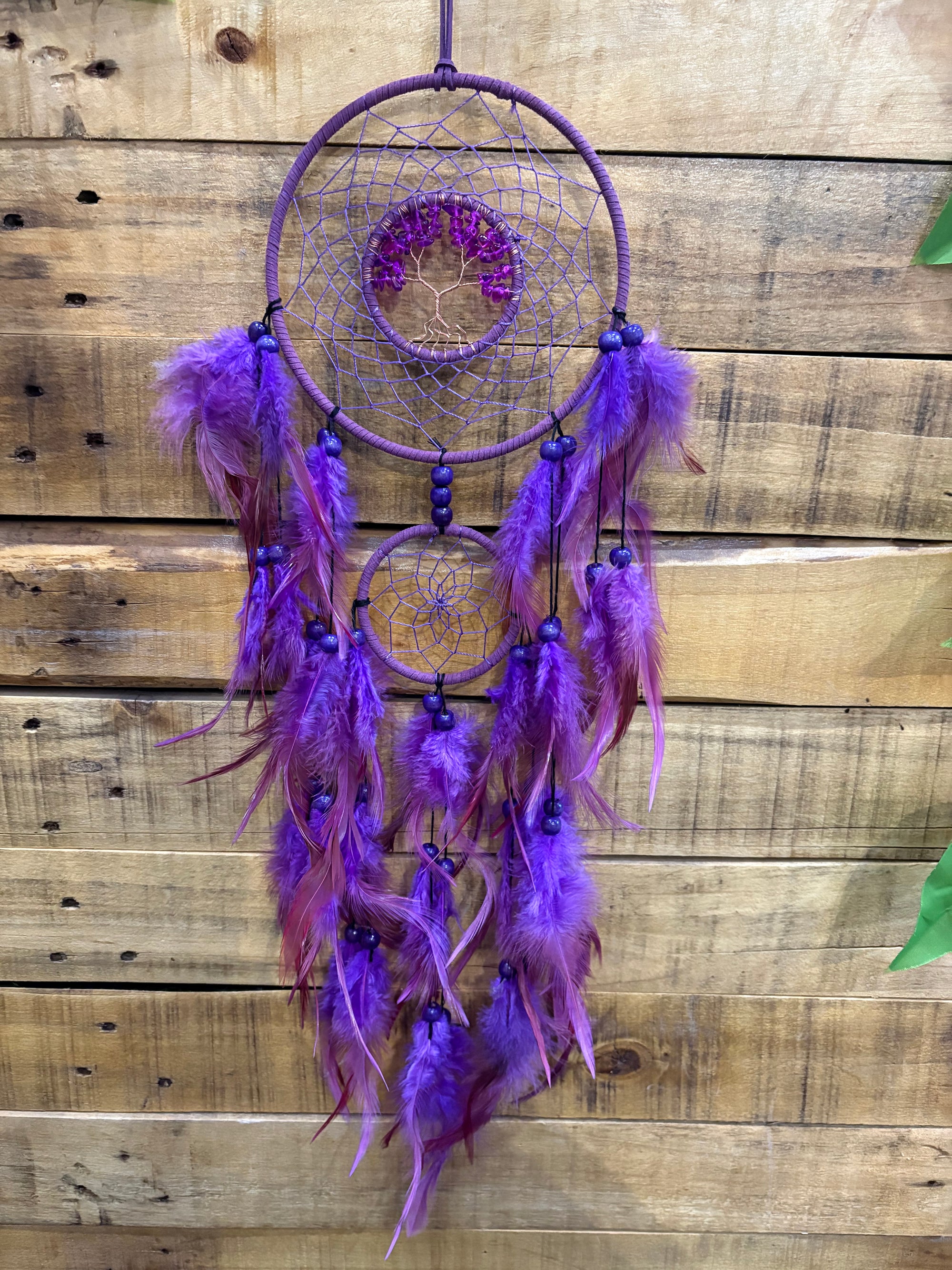 Dream Catcher - Tree of life