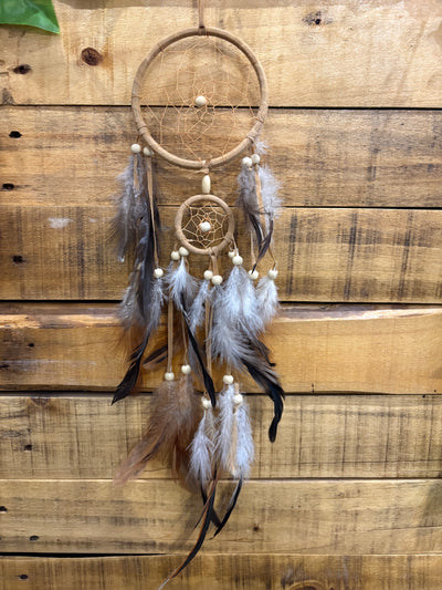Dream Catcher - Simple Colored