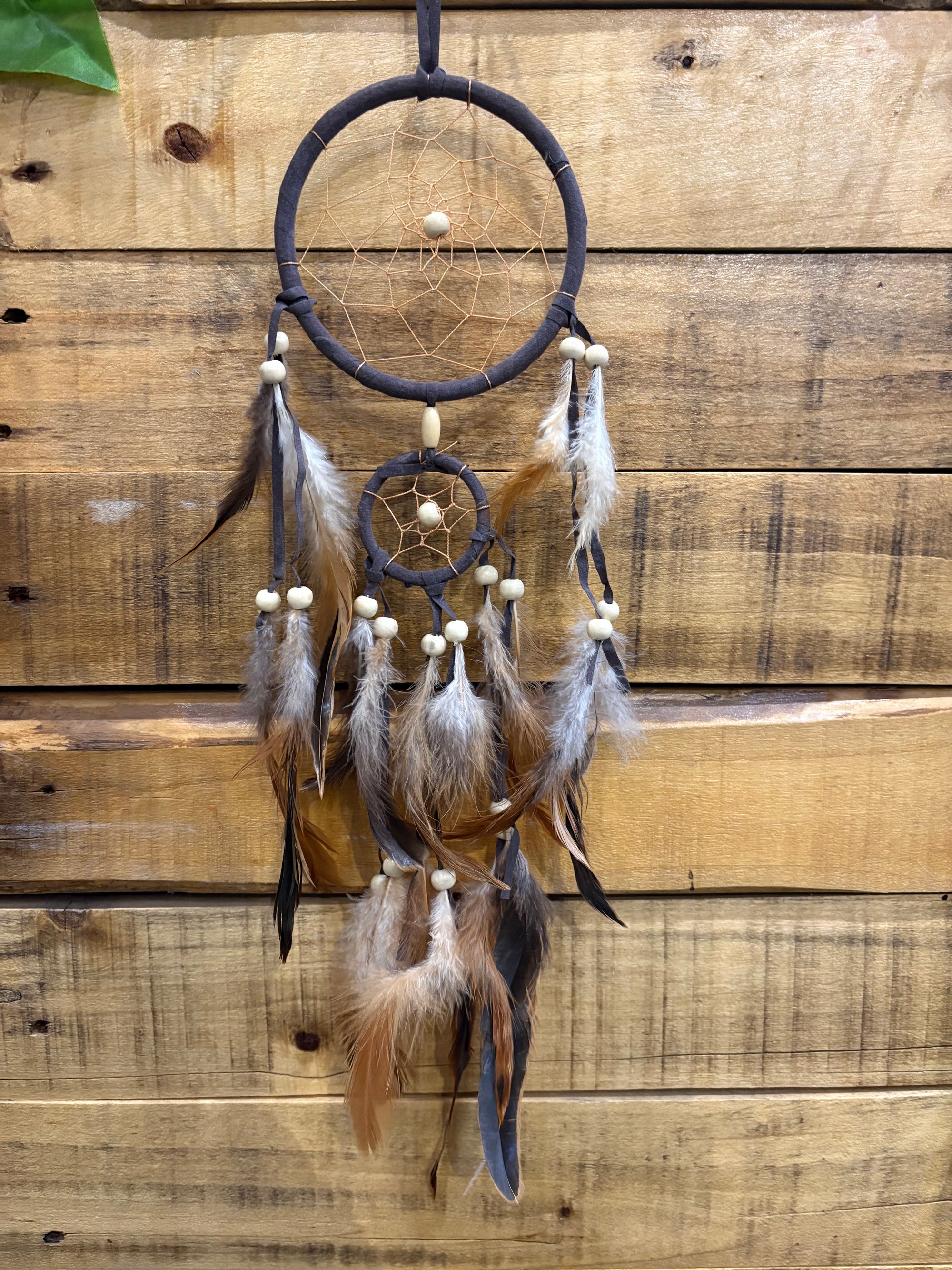 Dream Catcher - Simple Colored