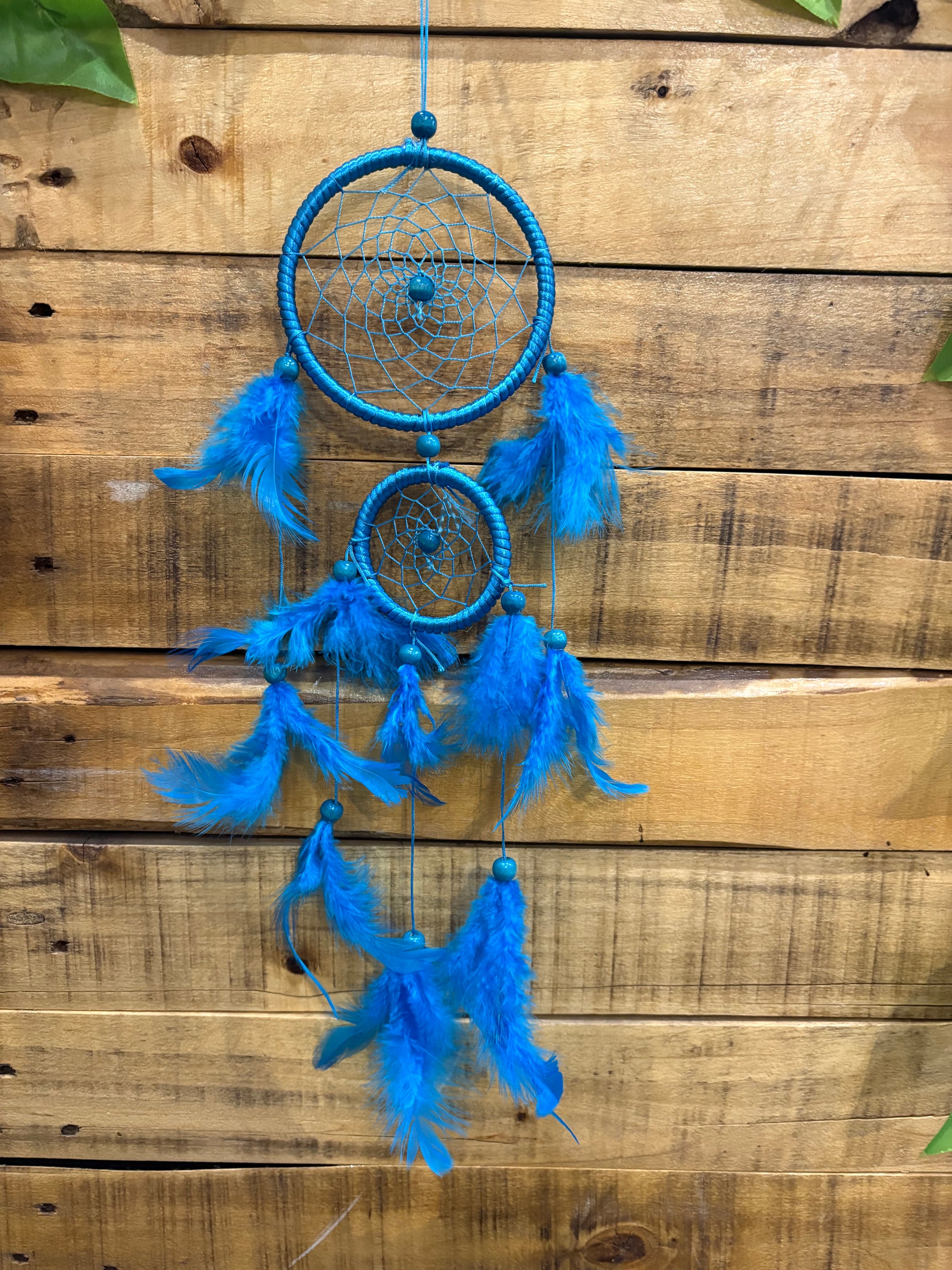 Dream Catcher - Simple Colored
