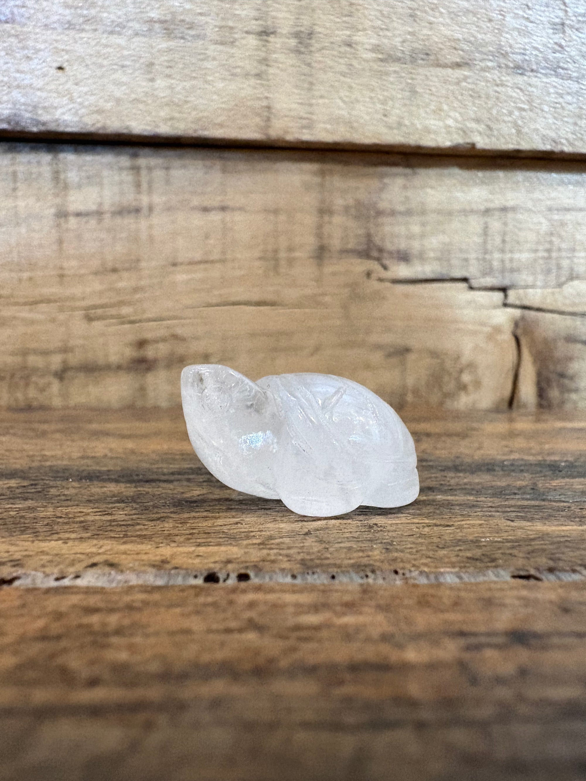Assorted Crystal Animals
