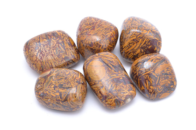 Tumble AAA - Elephant Jasper