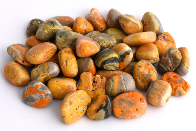 Tumble AAA - Bumble Bee Jasper