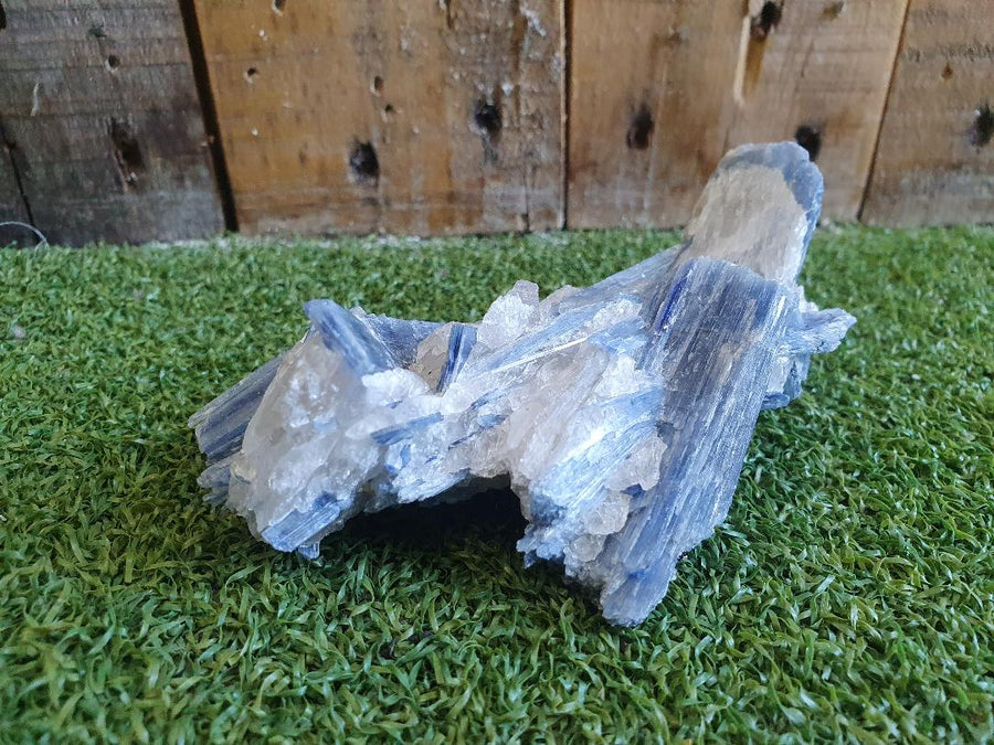 Crystal - Cluster - Kyanite - Assorted