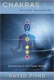 Chakras Beyond Beginners Awakening to the Power Within - David Pond