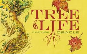 Oracles -  Tree of Life Oracle - ELAINE CLAYTON