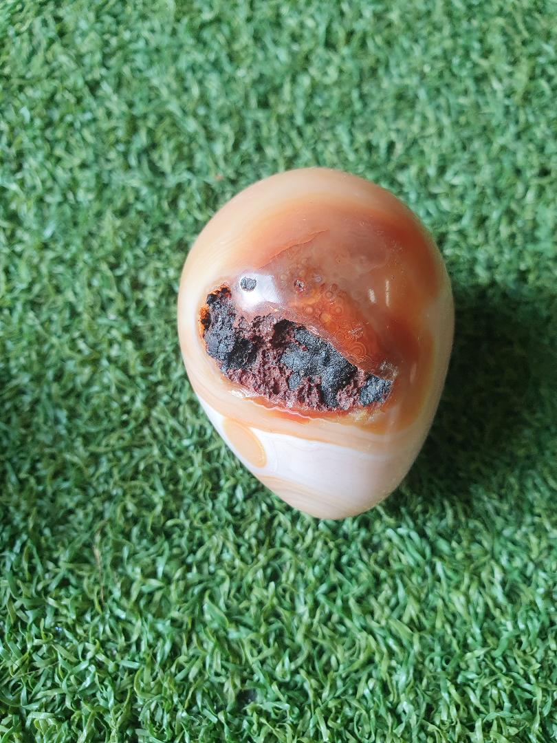 Carnelian- Egg