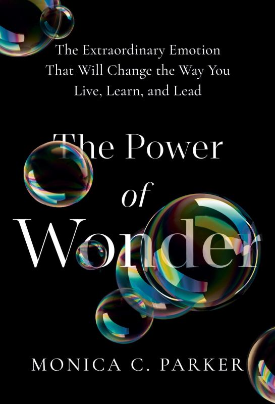 The Power of Wonder The Extraordinary Emotion That Will Change the Way You Live, Learn and Lead