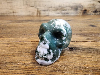 Crystal Skull -  Tree Agate