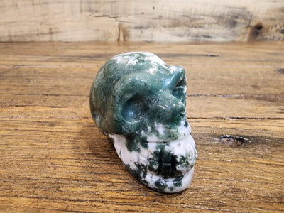 Crystal Skull -  Tree Agate