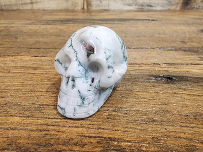 Crystal Skull -  Tree Agate 2