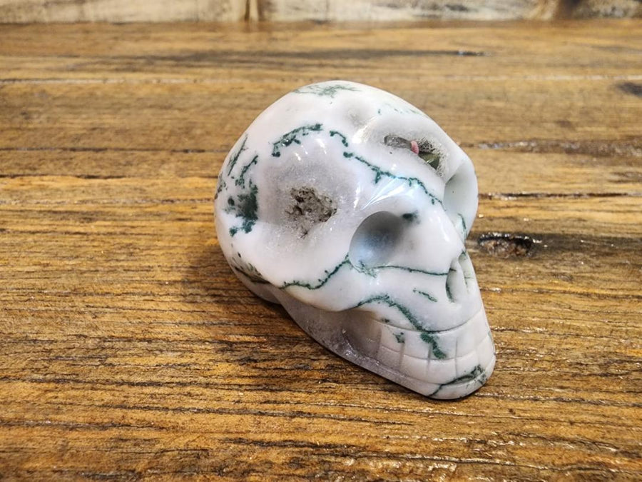 Crystal Skull -  Tree Agate 2