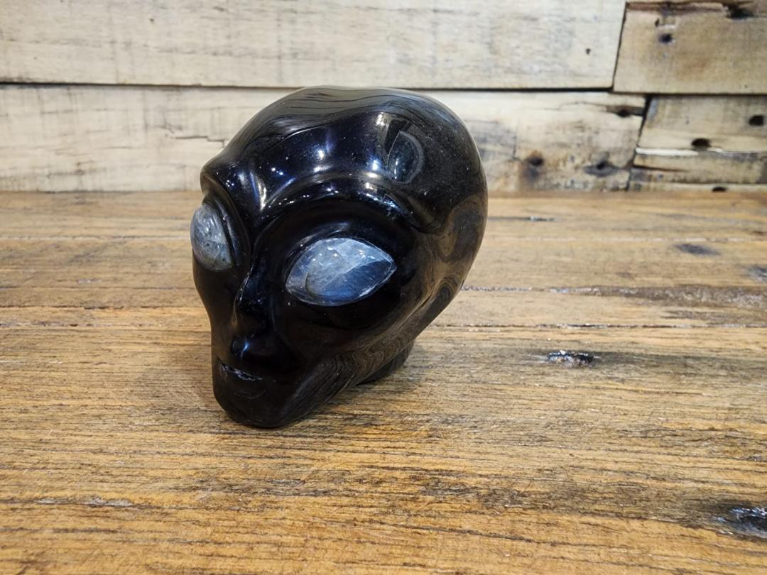 Crystal Skull -  Black Obsidian with Labradorite Eyes