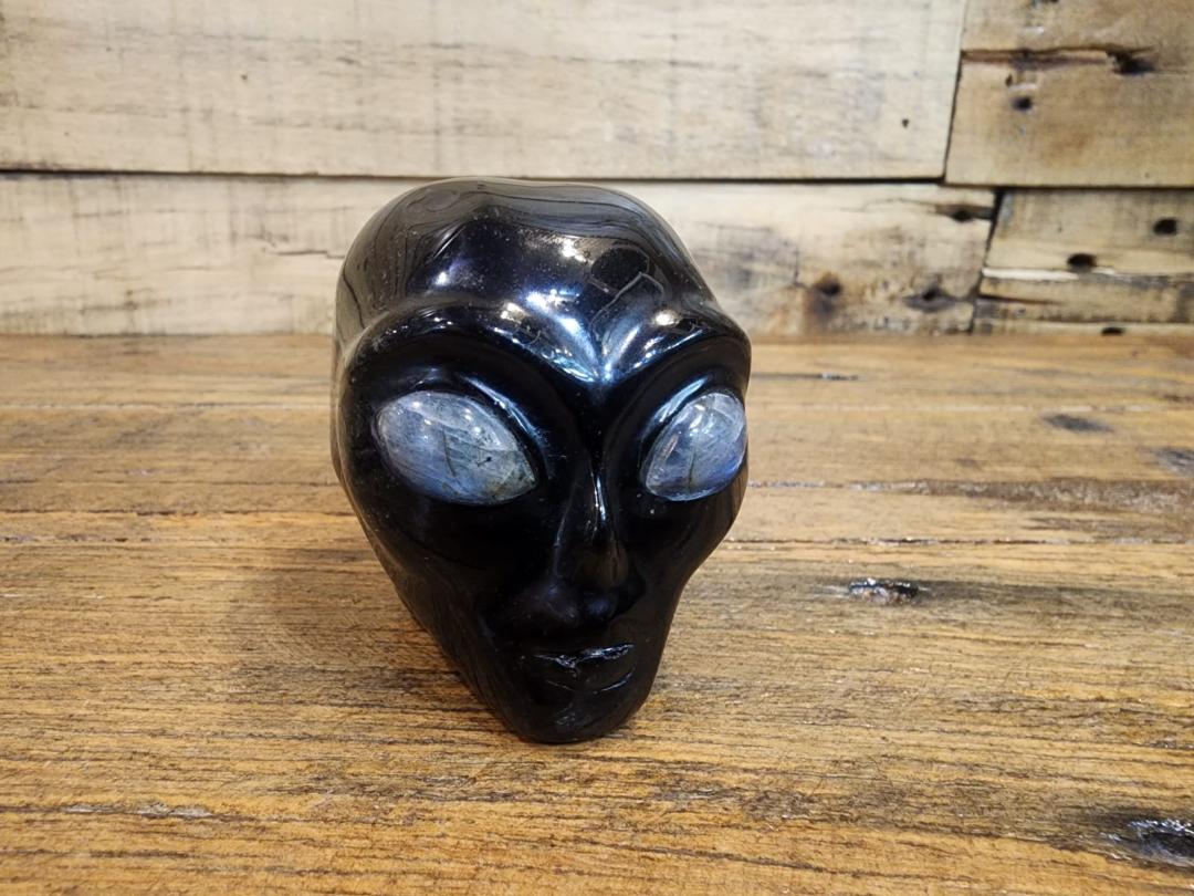 Crystal Skull -  Black Obsidian with Labradorite Eyes