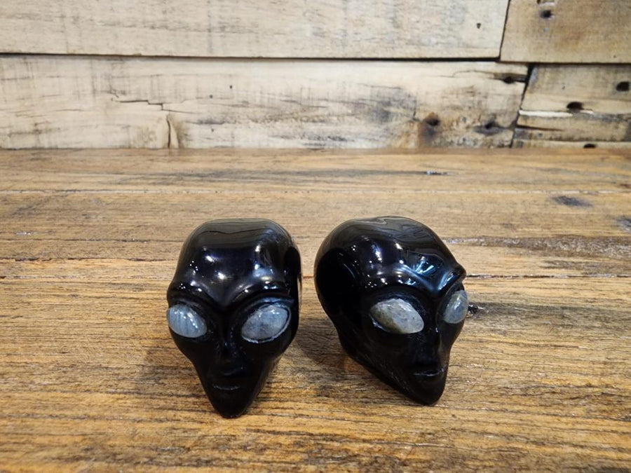 Crystal Skull -  Black Obsidian with Labradorite Eyes