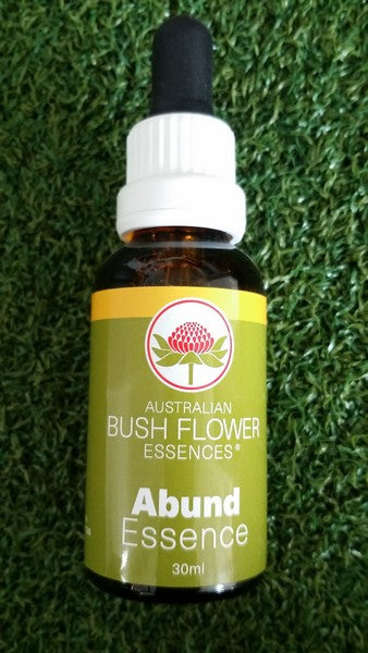 abund bush flower