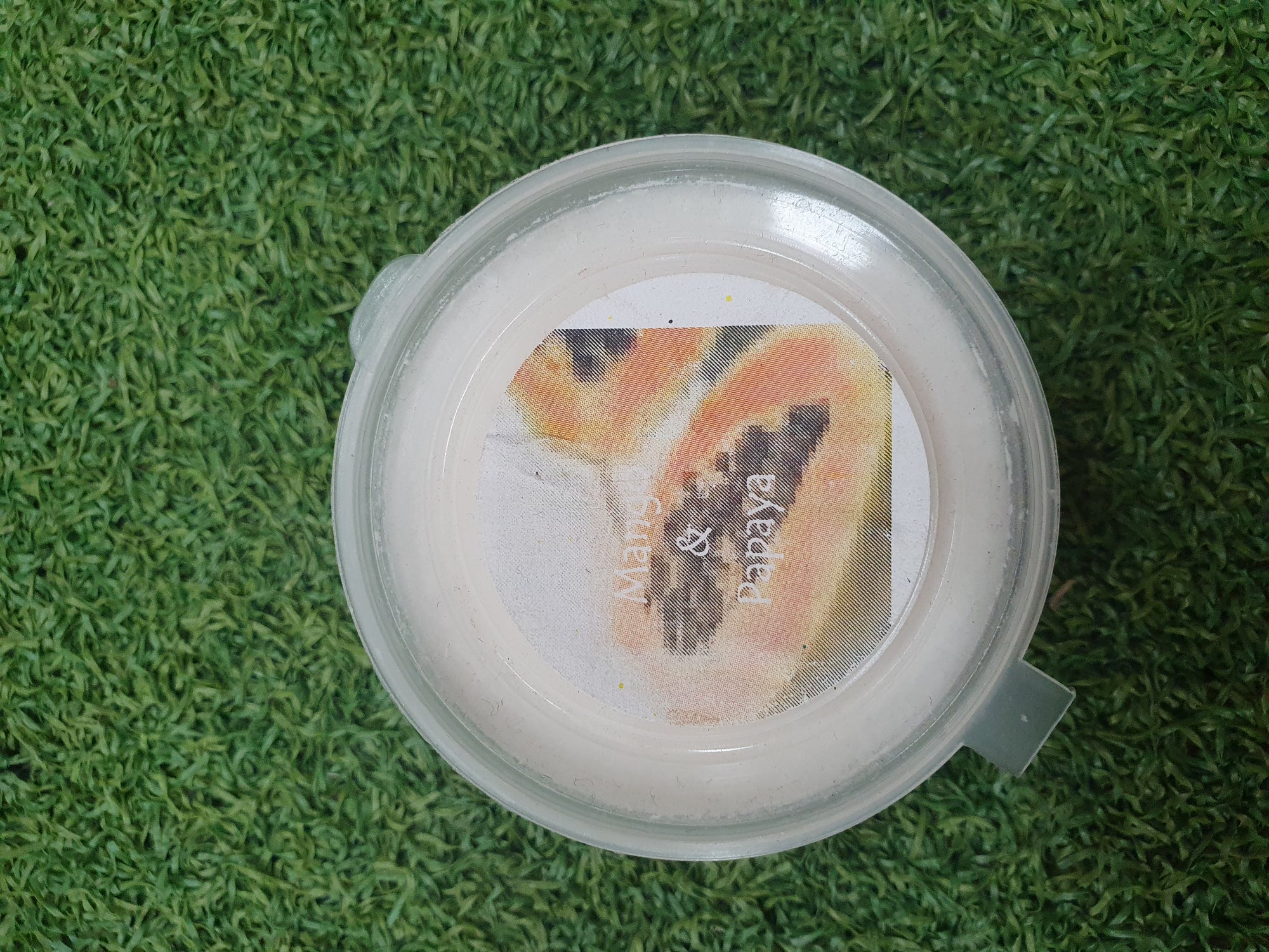 Soy Melts - Mango & Papaya