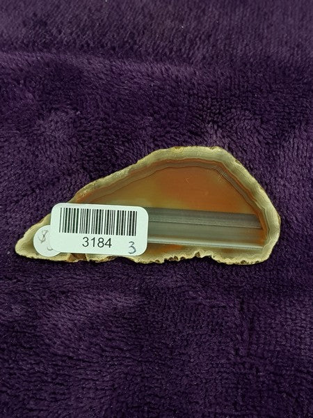 3184 (2)