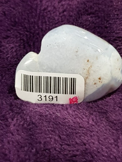 3191 (1)