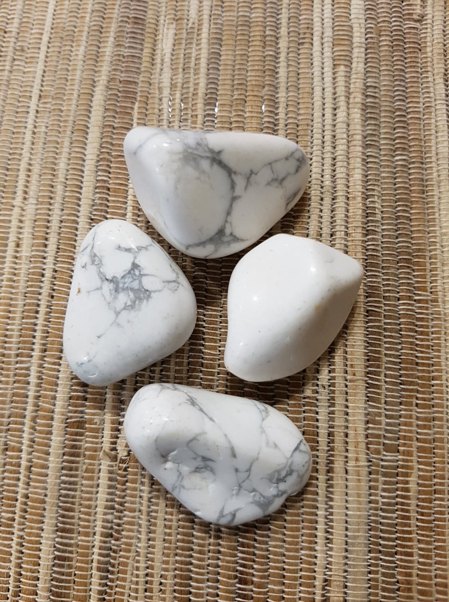 42369602_473866516438291_8055838563880665088_n