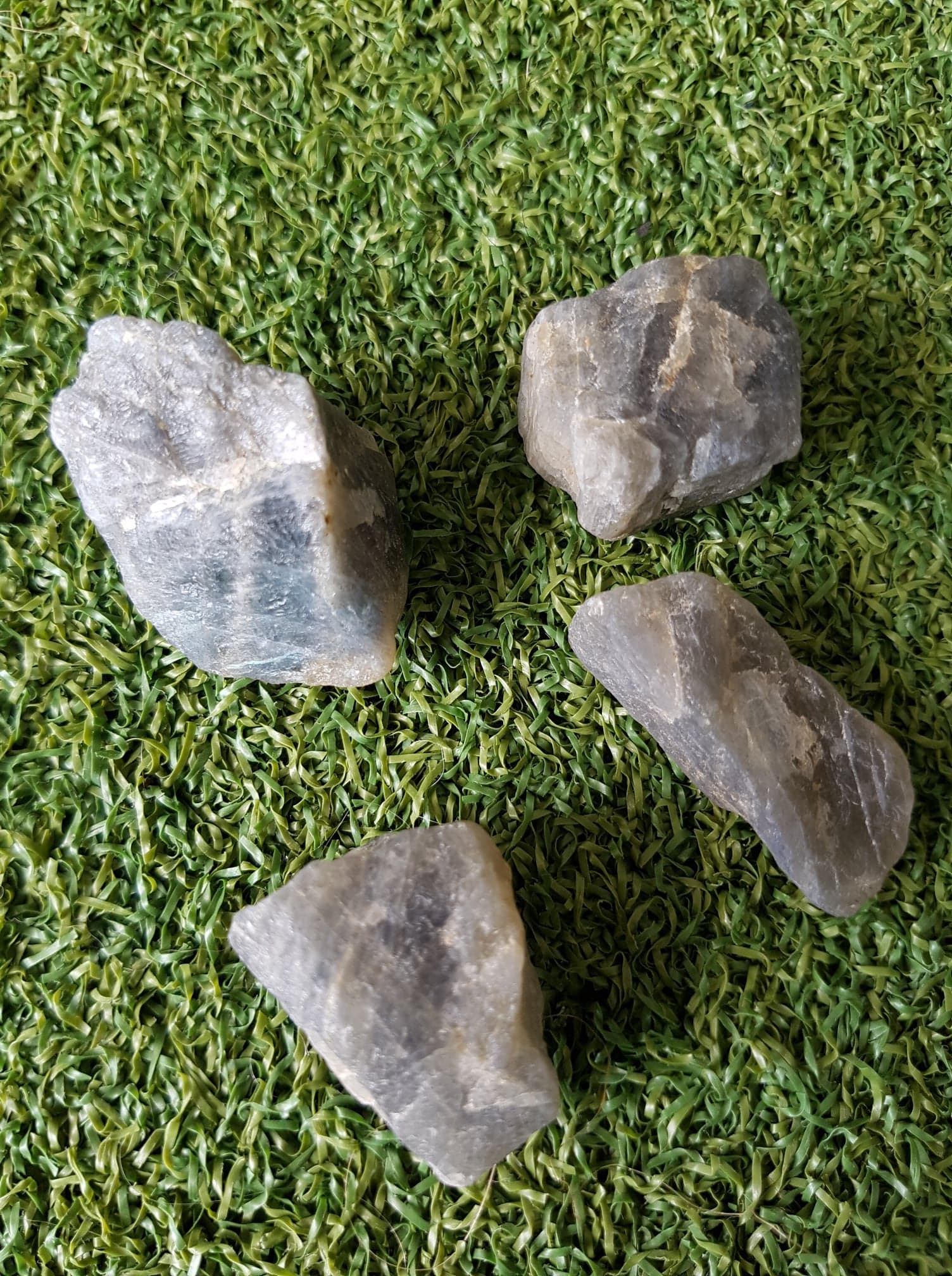 42371137_333049187440412_4182238320174039040_n