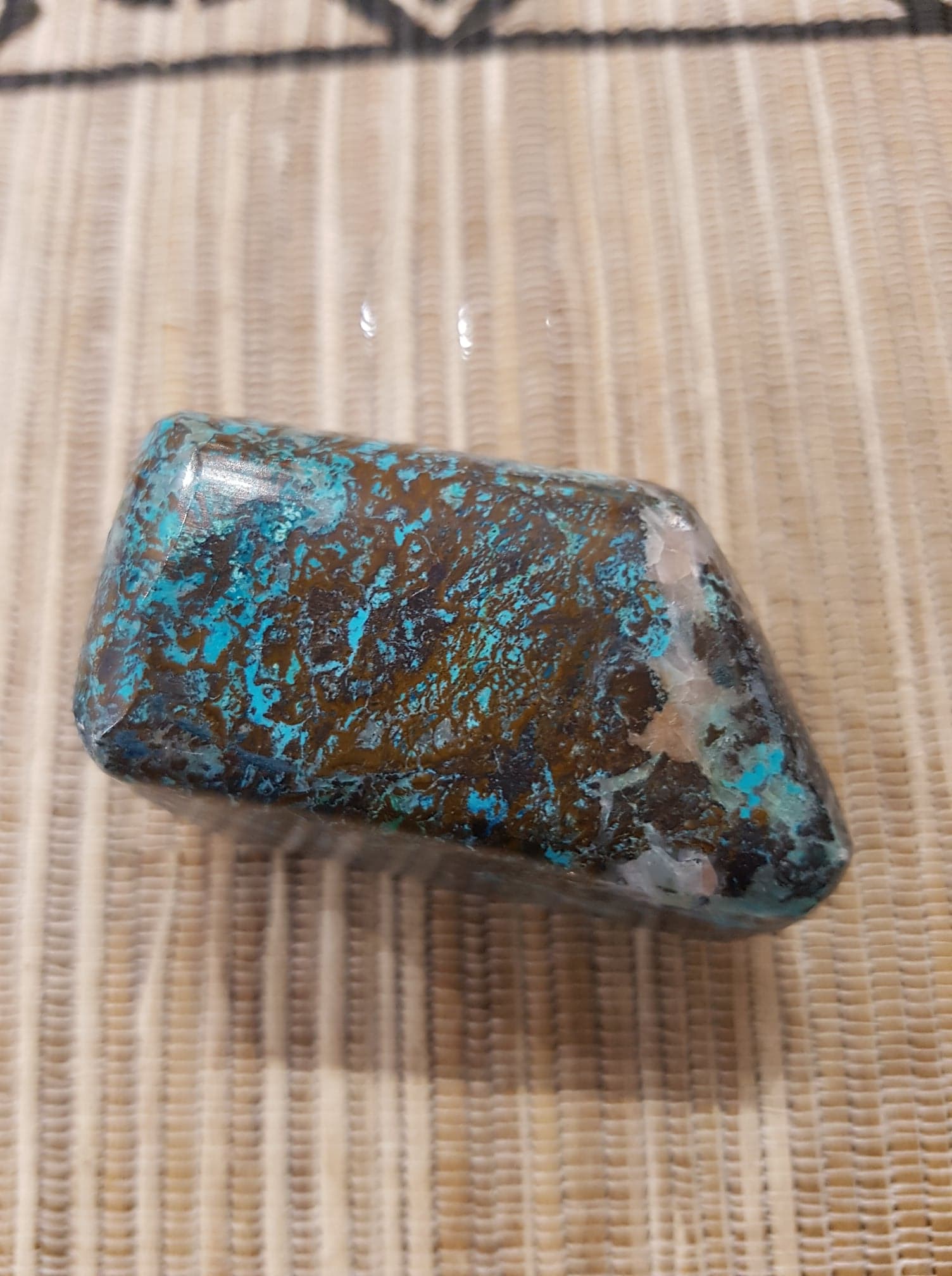 42380575_244143009607172_8418160188200058880_n