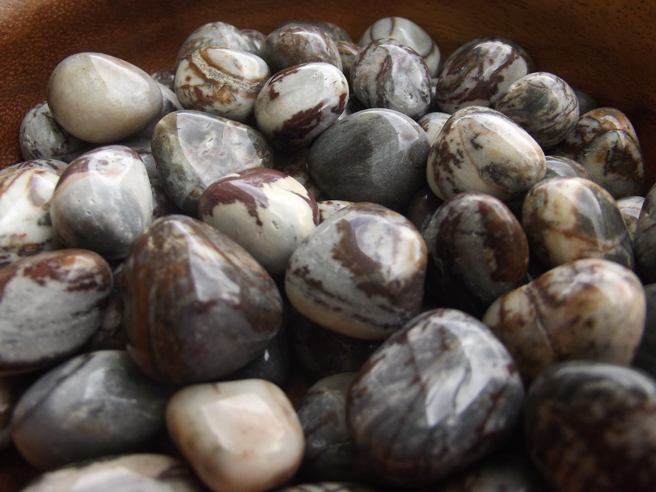 Tumble - Jasper Panther