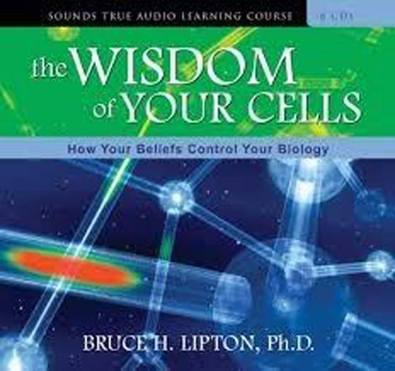 CD: The Wisdom of Your Cells (8 CD)
