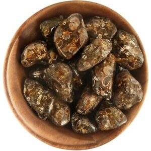 Tumble - Agate Turritella