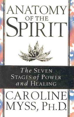 Anatomy of the spirt