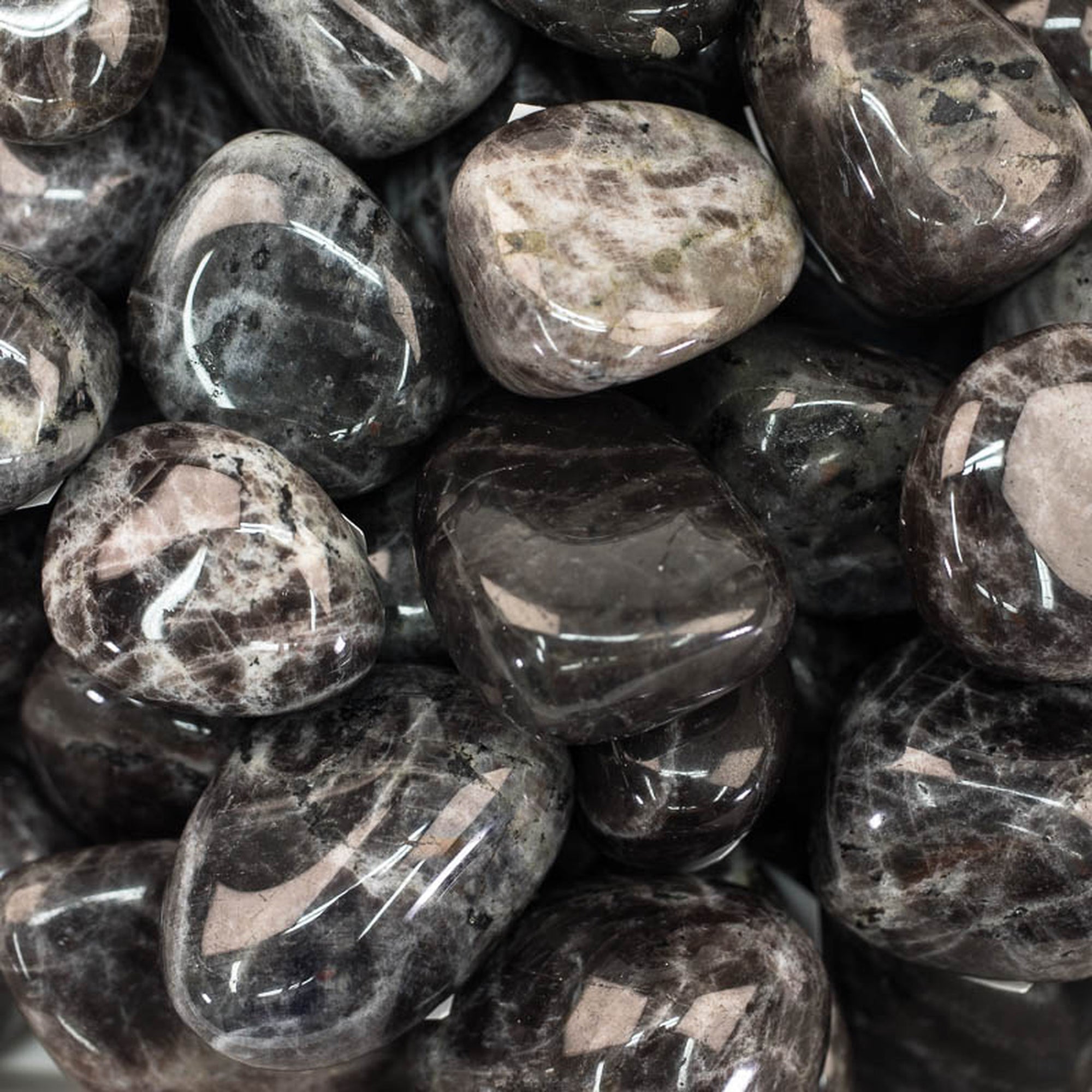 Tumble - Anorthosite