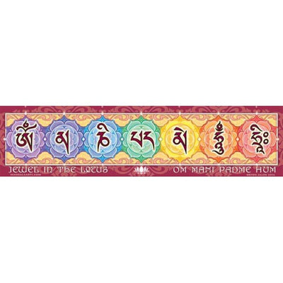 Assorted Bumper Stickers