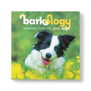 Barkology