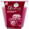 4OZ CANDLE sparkling berries