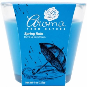 4OZ CANDLE spring rain