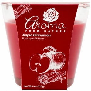 4OZ CANDLE apple cinnamon