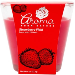 4OZ CANDLE strawberry field