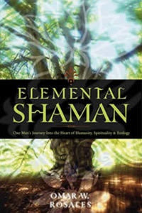 Elemental Shaman