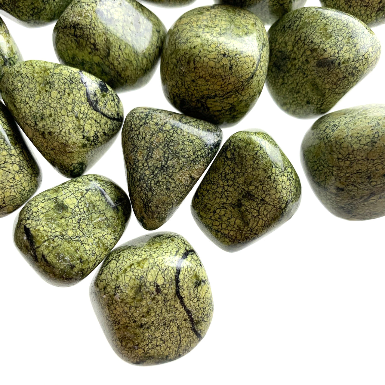 Tumble - Jasper Green Snakeskin