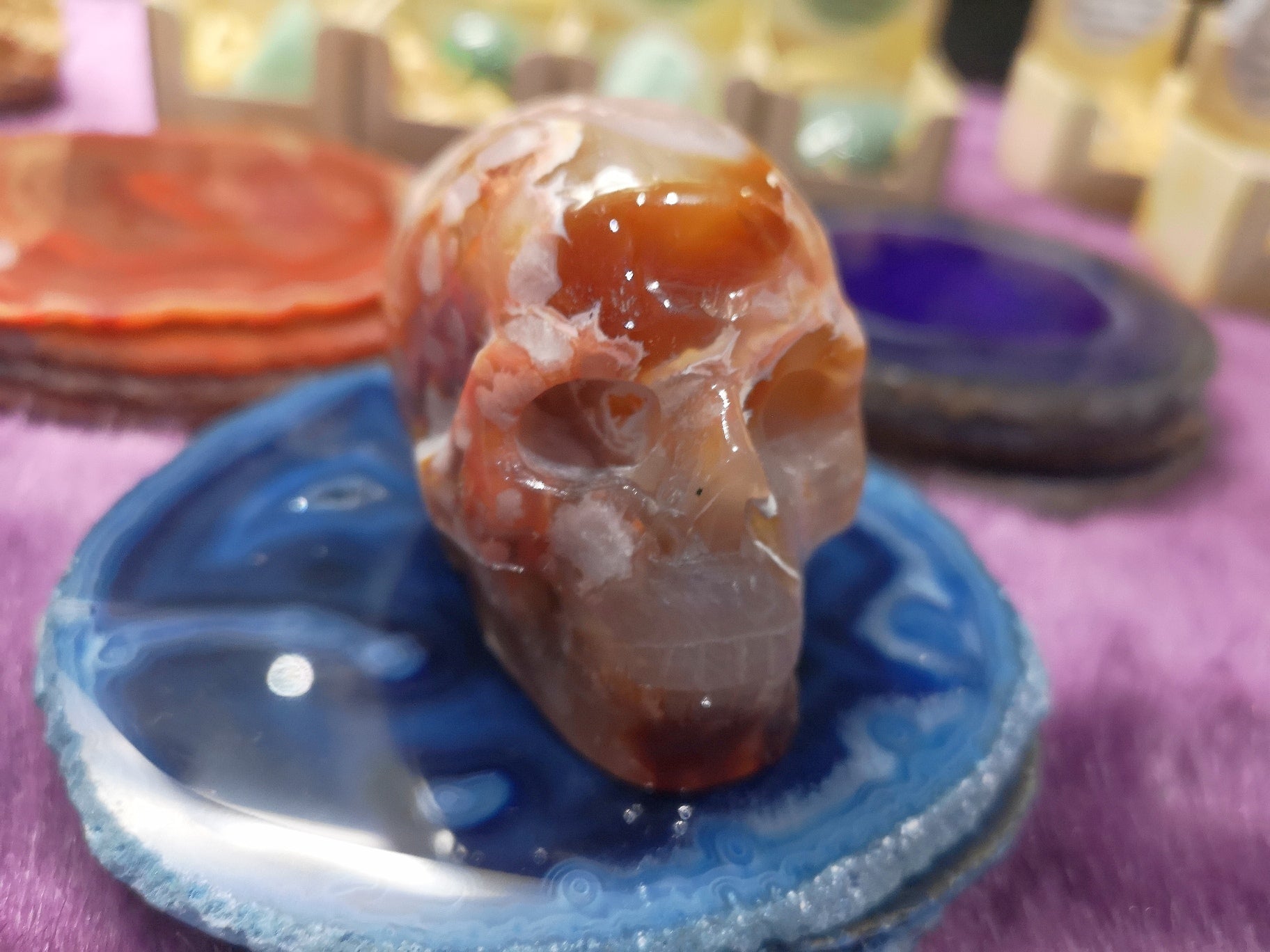 IMG_20210406_153038_resized_20210406_033056886