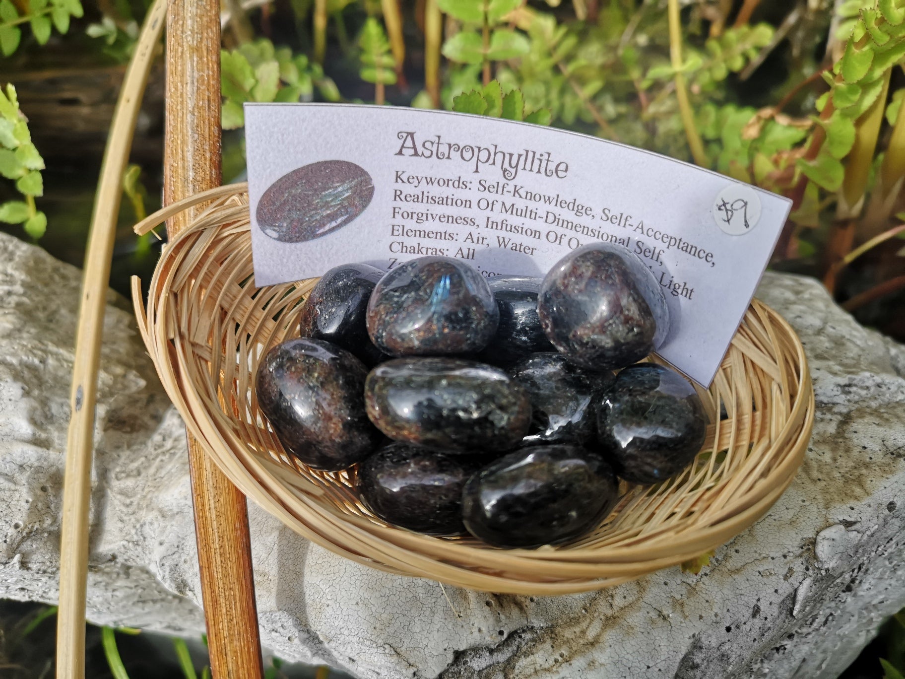 Tumble AAA - Astrophylite