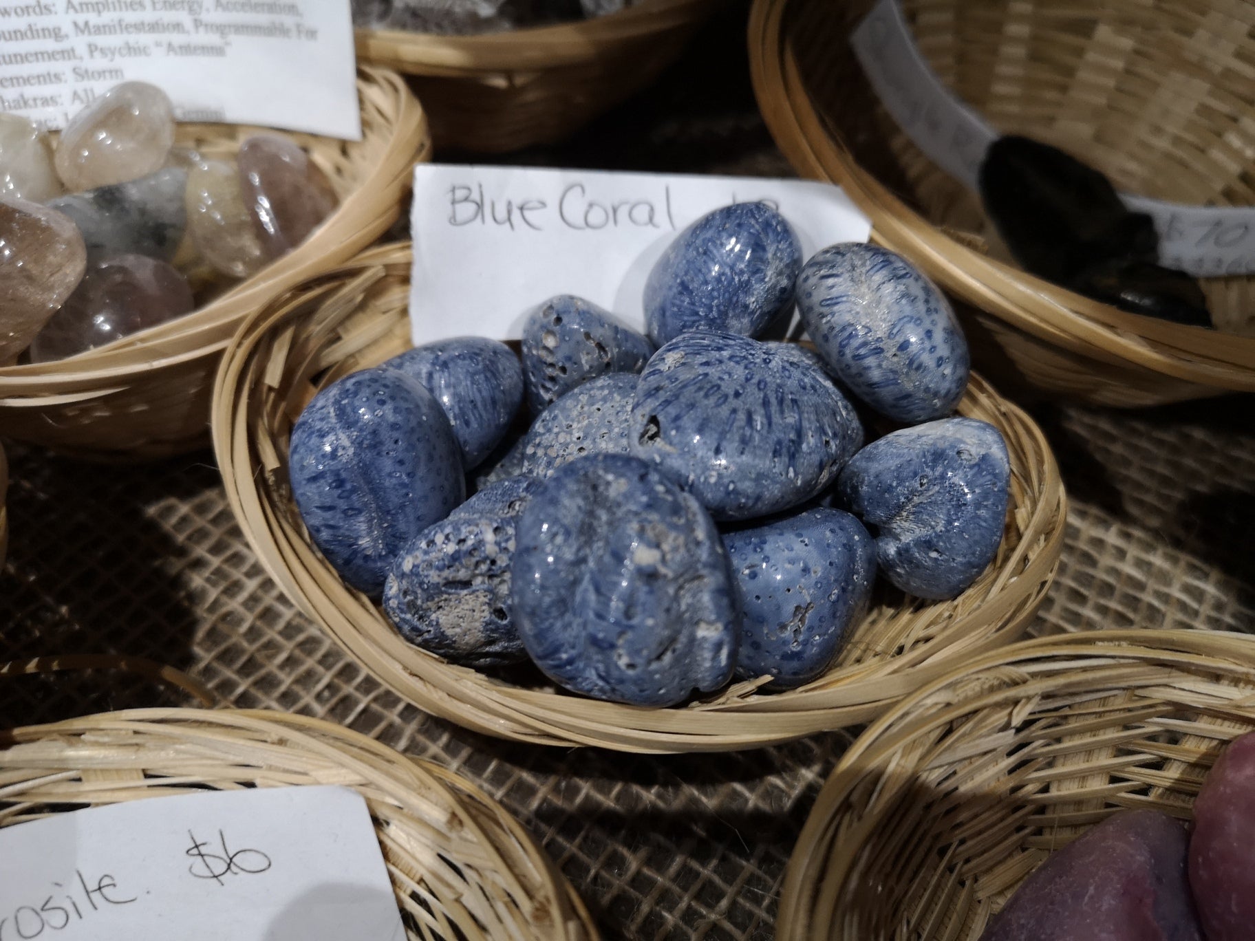 Tumble AAA - Blue Coral