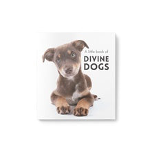 Little Book of Divine Dogs