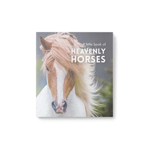 Little Book of Heavenly Horses