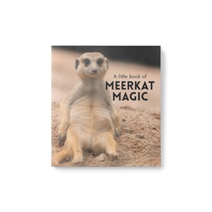 Little Book of Meerkat Magic