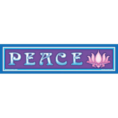 Assorted Bumper Stickers