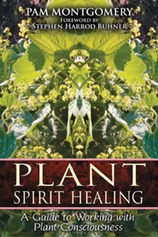 PLANT SPIRIT HEALING