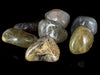 AAA Tumbled - Quartz Rutilated