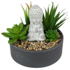 Succulent Buddha Garden